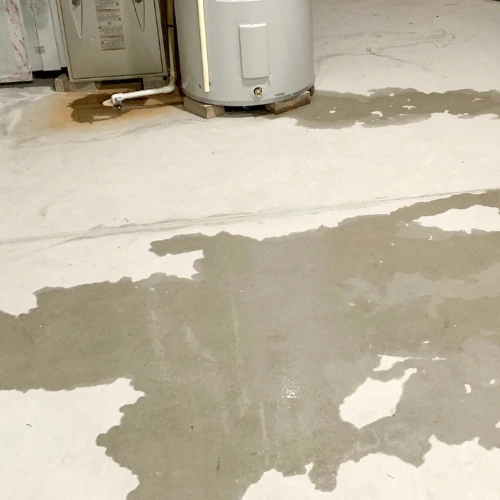 fuite dans la cave d'un particulier caudéran